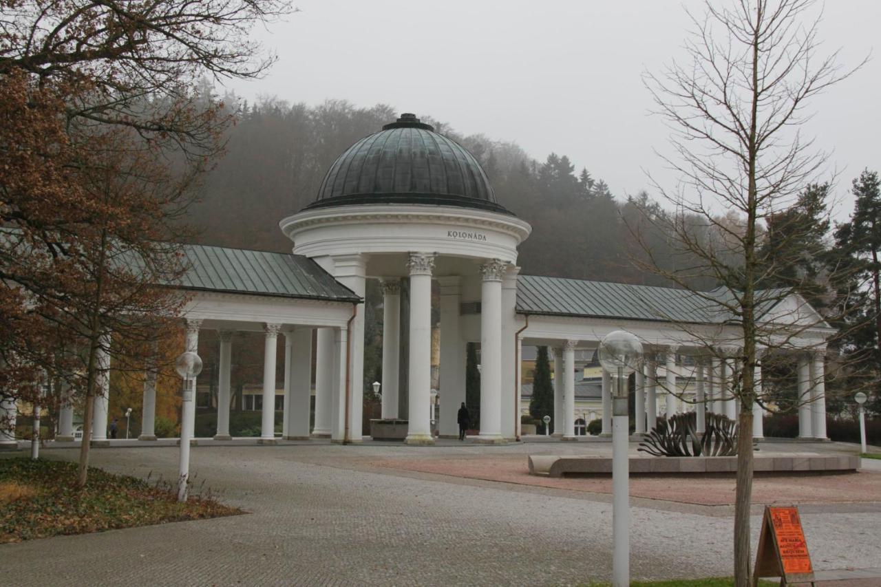 Apartman Karlovarska Mariánské Lázně Kültér fotó